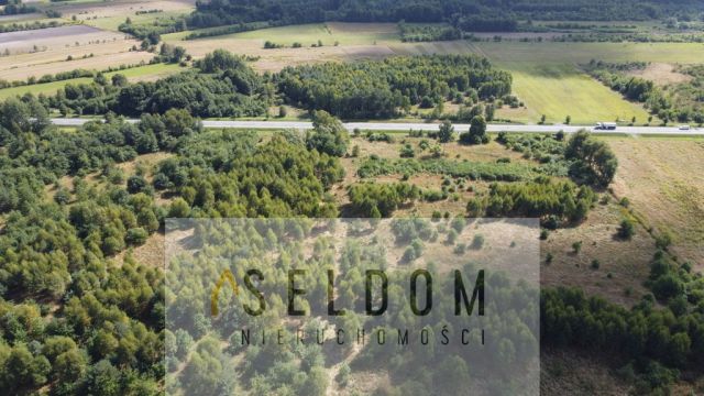 Działka inwestycyjna Grodziec. Zdjęcie 14