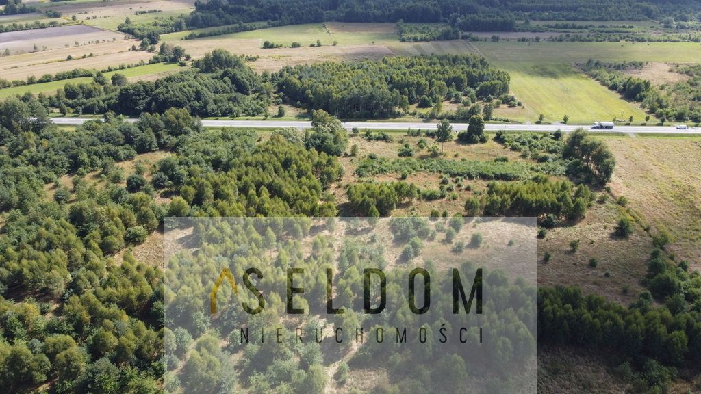 Działka inwestycyjna Grodziec. Zdjęcie 14