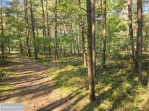 Działka budowlana Grabina Radziwiłłowska, ul. Jagodowa