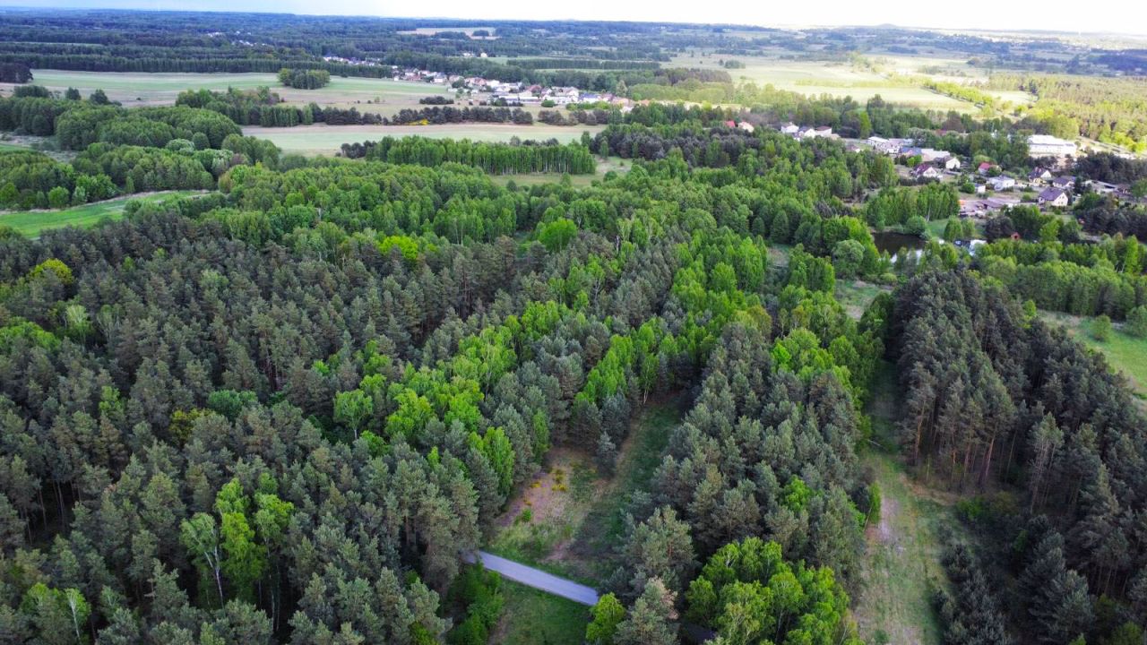 Działka budowlana Panki. Zdjęcie 4