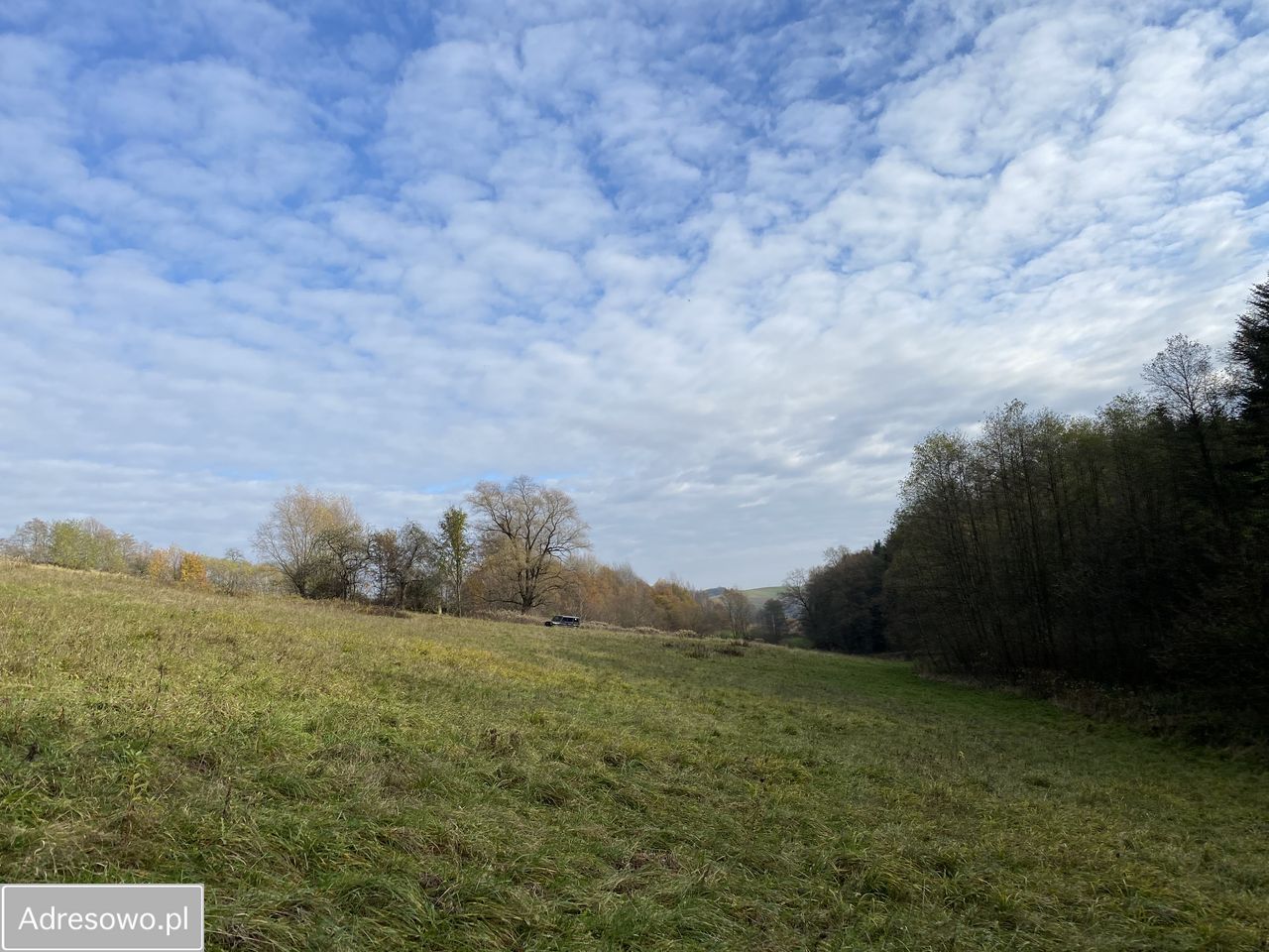 Działka rolno-budowlana Faściszowa. Zdjęcie 6