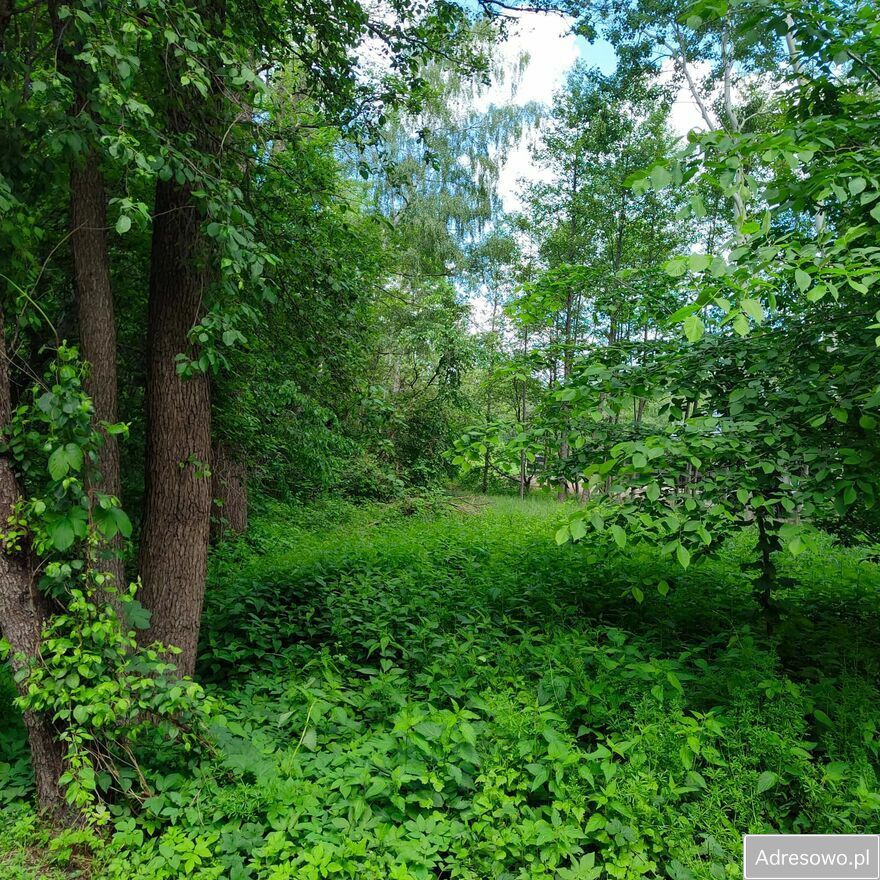 Działka budowlana Otwock, ul. Stefana Żeromskiego. Zdjęcie 2