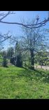 Działka rolno-budowlana Wysoka, Wysoka. Zdjęcie 3