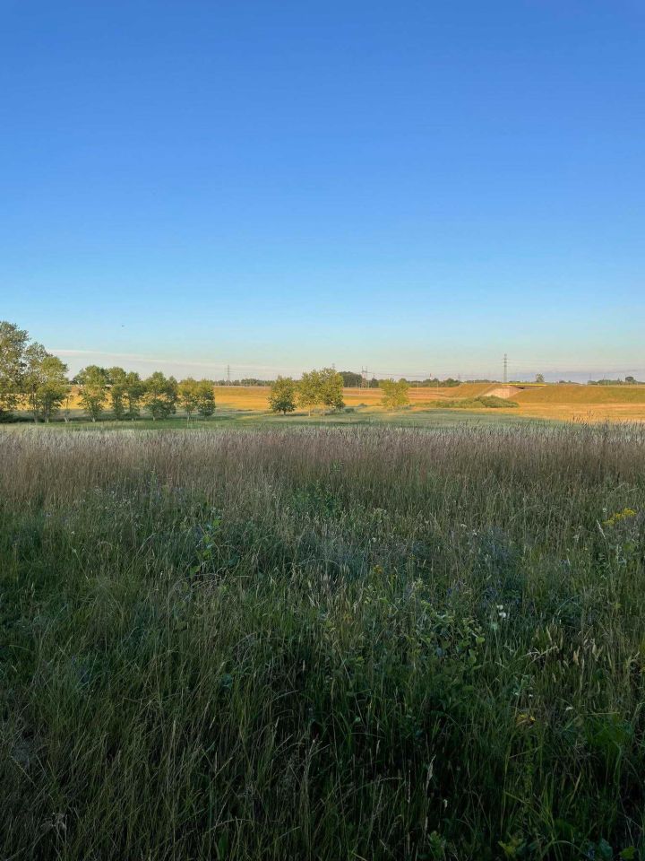 Działka rolna Stare Bielice. Zdjęcie 7