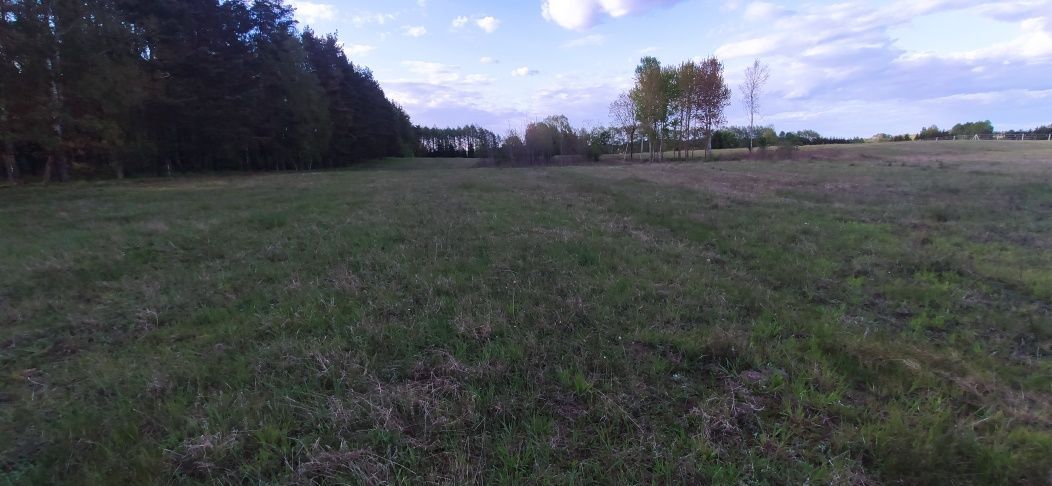 Działka rolna Kłębowiec Piława. Zdjęcie 4