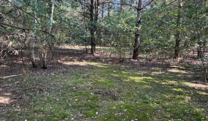 Działka budowlana Siestrzeń