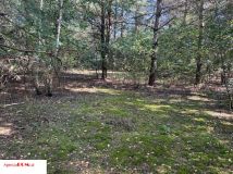 Działka budowlana Siestrzeń