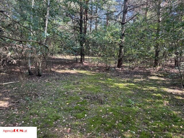 Działka budowlana Siestrzeń