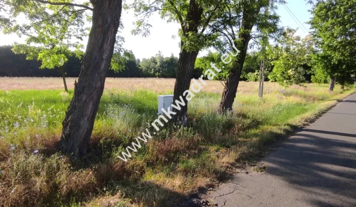 Działka budowlana Chrzczany