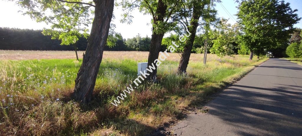 Działka budowlana Chrzczany. Zdjęcie 1
