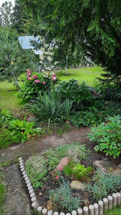 Działka rod Gdańsk Oliwa. Zdjęcie 3