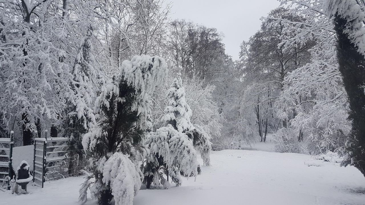 Działka budowlana Łódź Ruda Pabianicka, ul. Rafowa. Zdjęcie 12