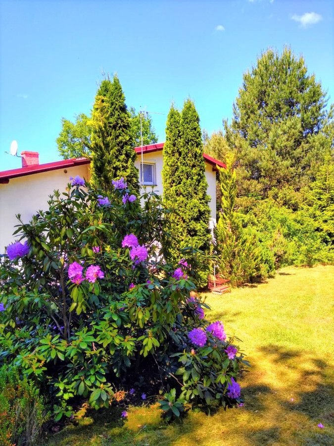 dom letniskowy, 4 pokoje Struga. Zdjęcie 3