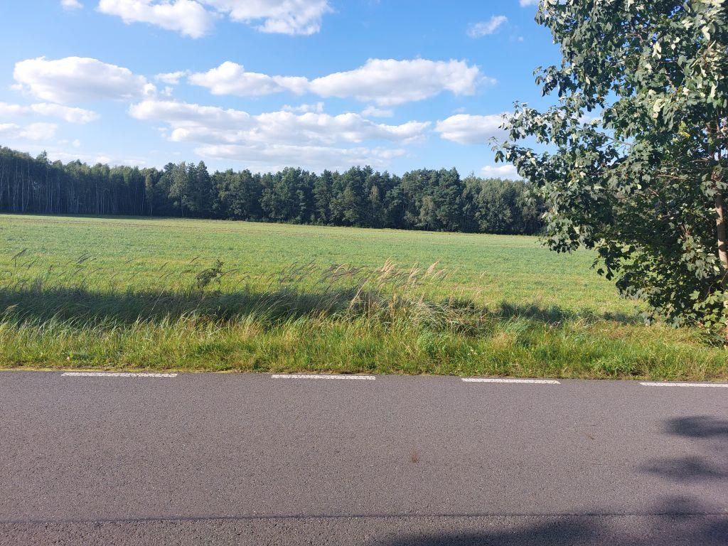 Działka rolno-budowlana Zamęty. Zdjęcie 14