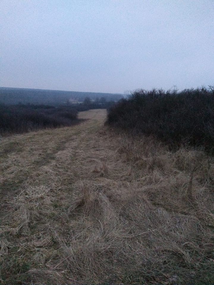 Działka rolna Poręba Niwki. Zdjęcie 5