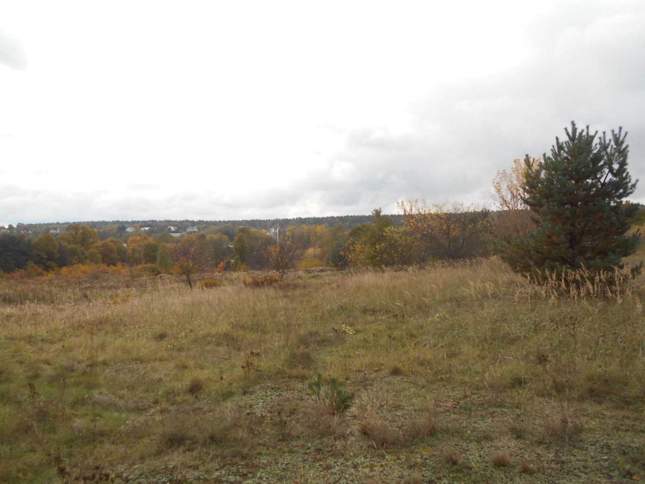 Działka rolno-budowlana Starachowice Michałów Górny, ul. Fryderyka Lempe. Zdjęcie 8