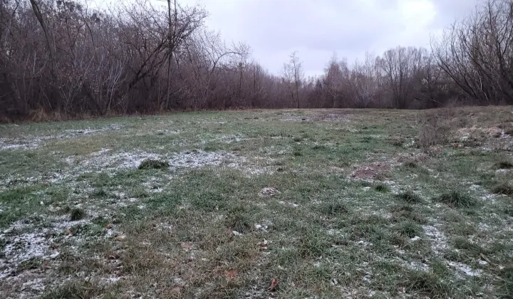 Działka budowlana Błonie Osiek, ul. Piaskowa