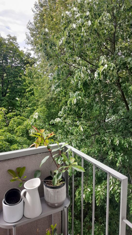 Mieszkanie 2-pokojowe Warszawa Śródmieście, Okrąg. Zdjęcie 14