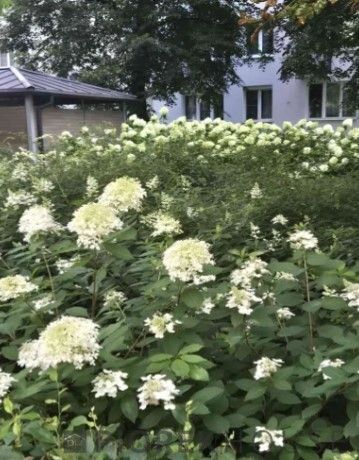 Mieszkanie 1-pokojowe Warszawa Śródmieście, ul. Niska. Zdjęcie 10