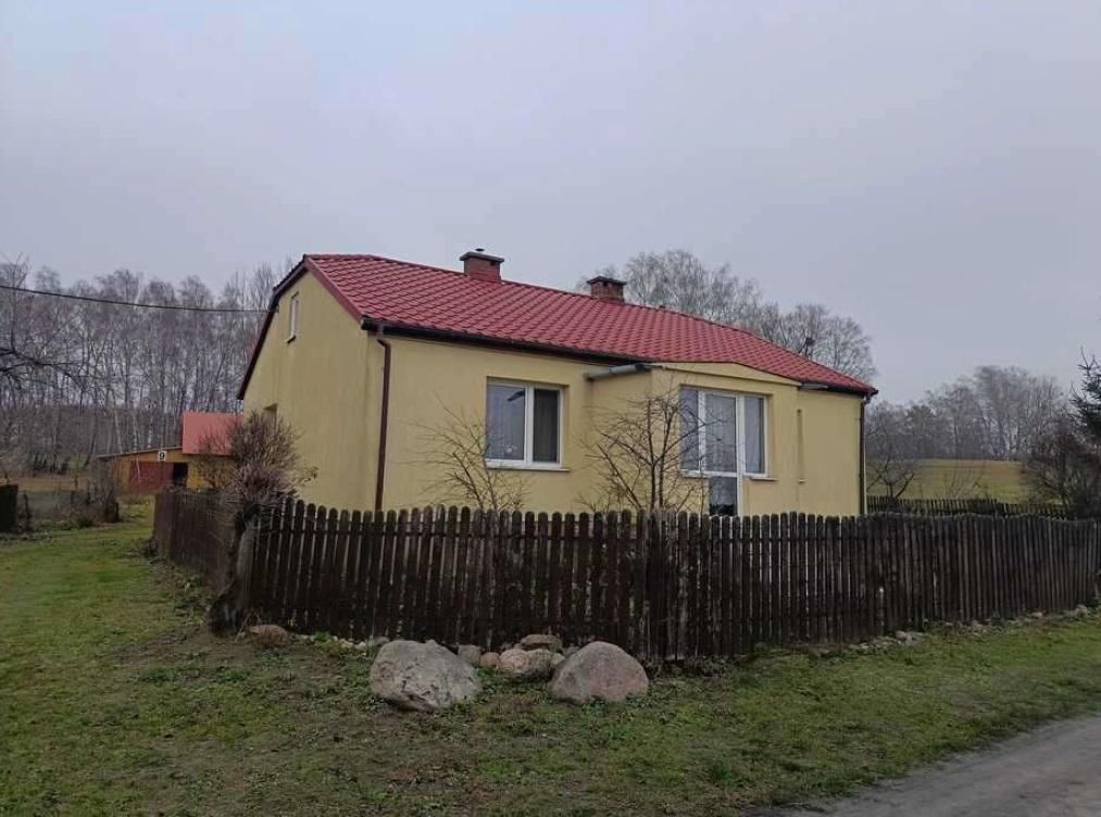 Działka siedliskowa Bachus. Zdjęcie 3