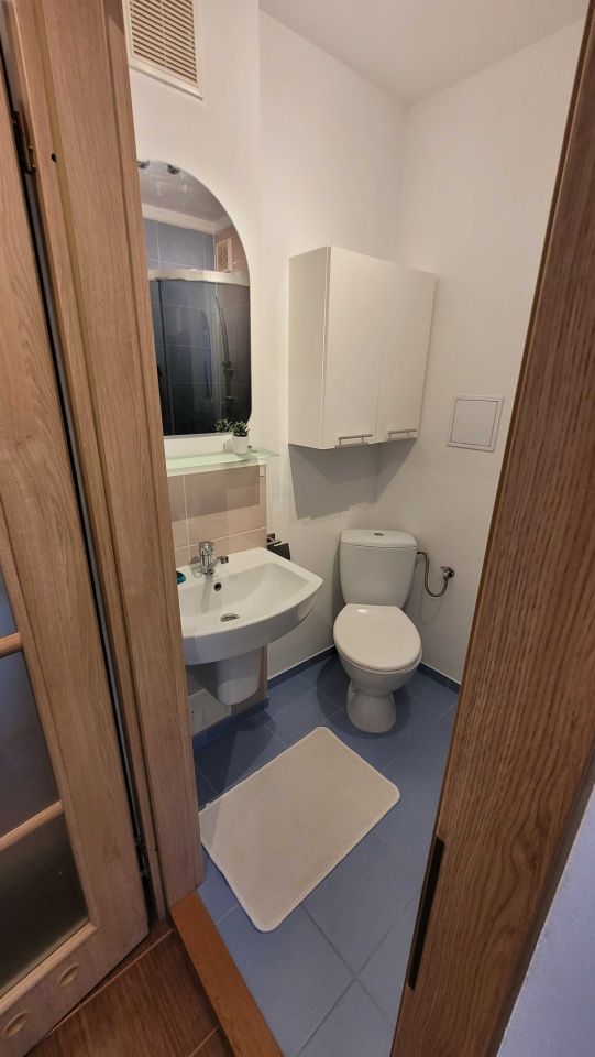 Mieszkanie 1-pokojowe Wrocław Stare Miasto, ul. Henryka Brodatego. Zdjęcie 6