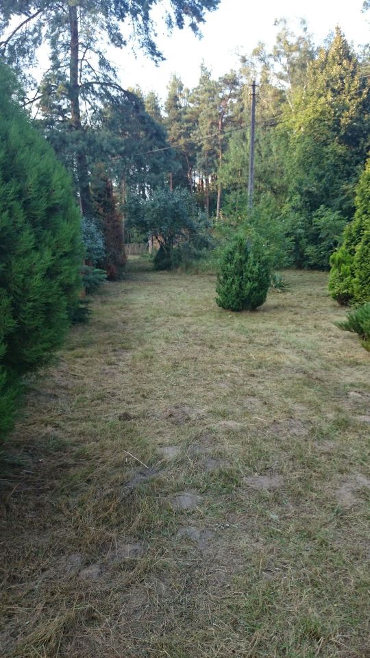 Działka rolno-budowlana Stary Boguszyn. Zdjęcie 3