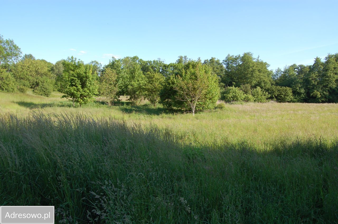 Działka budowlana Słupca, ul. Koszucka. Zdjęcie 5