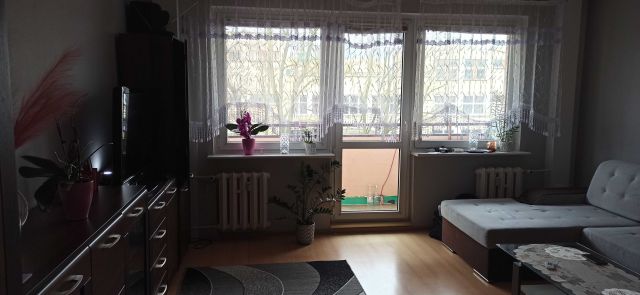 Mieszkanie 2-pokojowe Szczecin Centrum. Zdjęcie 1