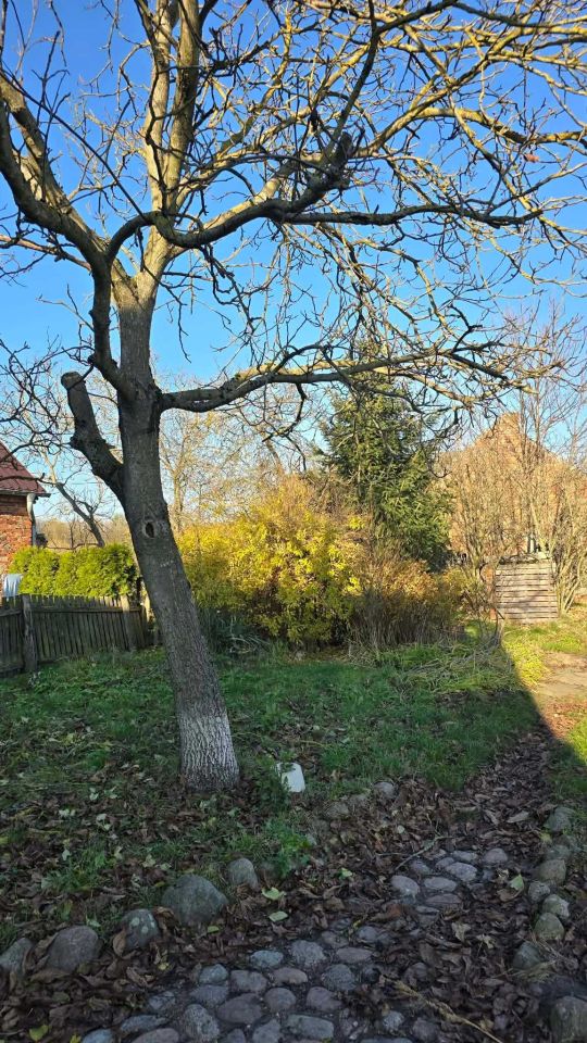 Działka rolno-budowlana Linie. Zdjęcie 6