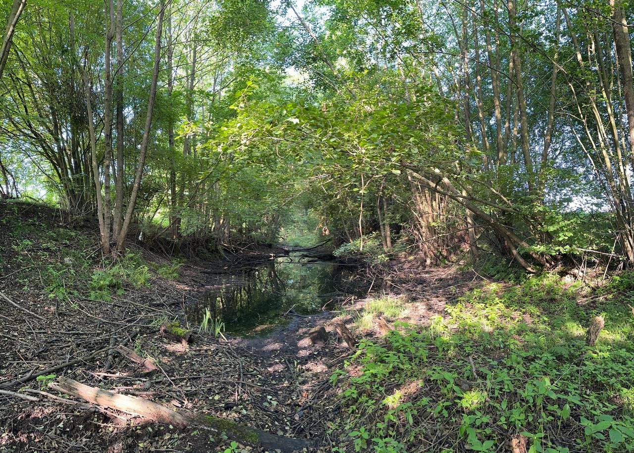 Działka rolna Rudawica. Zdjęcie 2