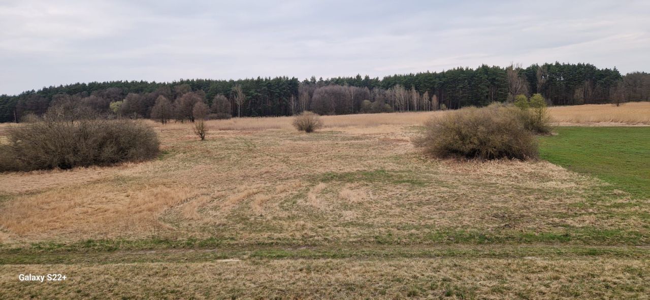 Działka rolna Brody. Zdjęcie 2