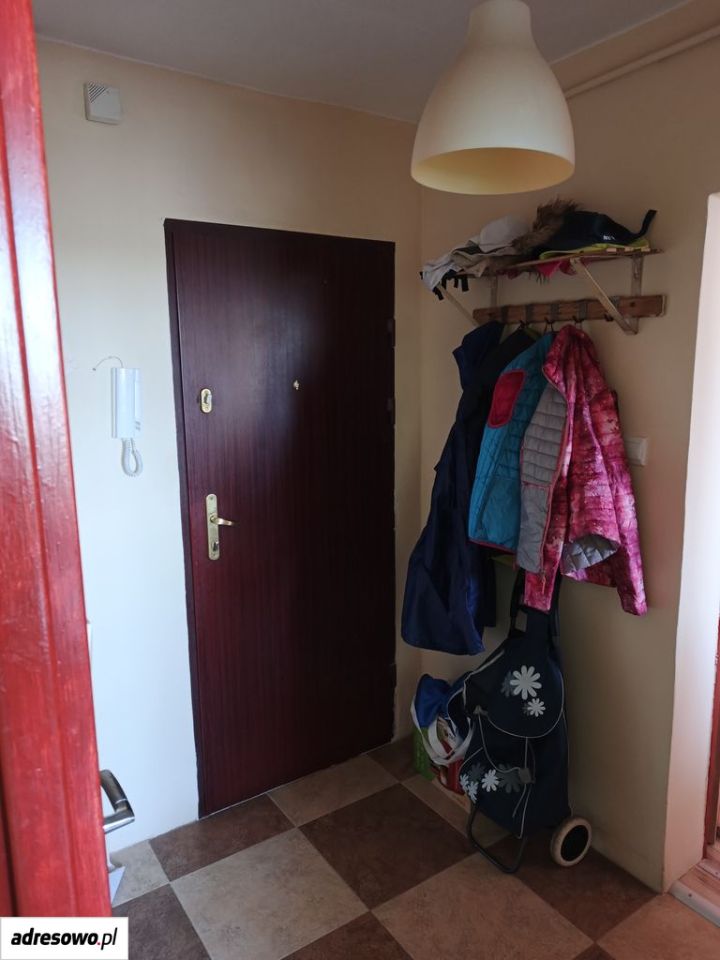 Zdjęcie 8