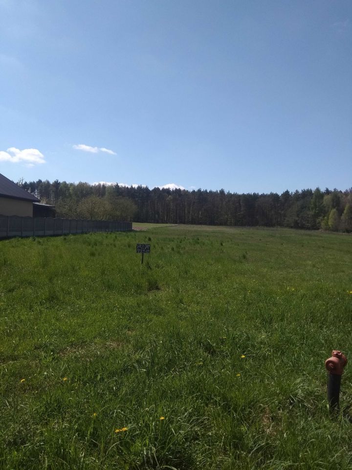 Działka budowlana Bizoręda. Zdjęcie 8