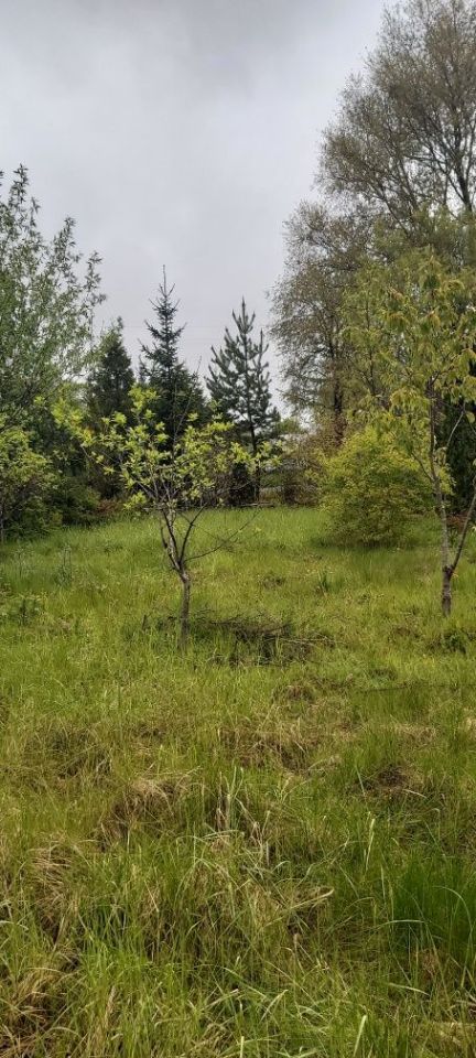 Działka rod Gdańsk Rębiechowo. Zdjęcie 7