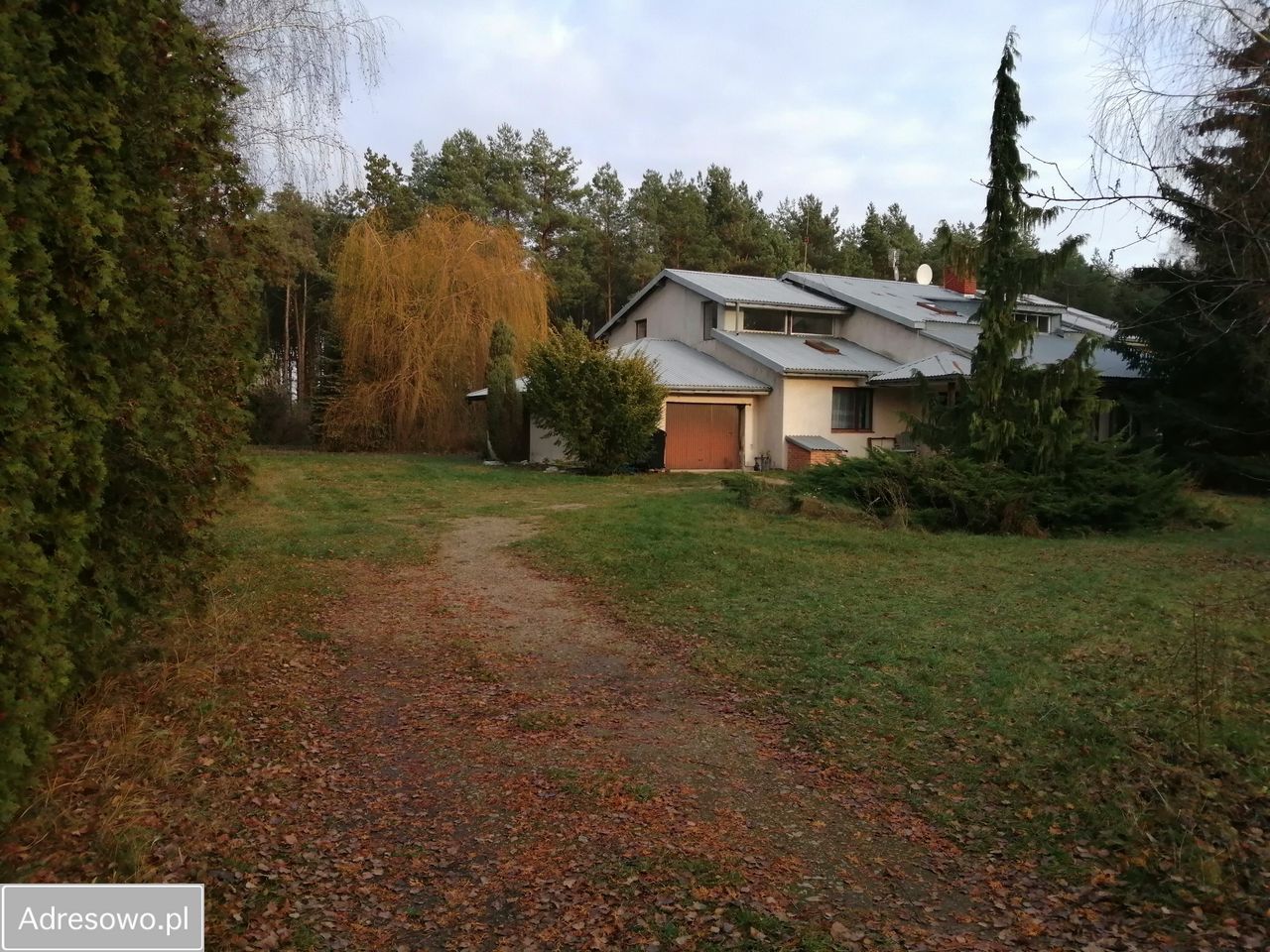 Hala/magazyn Kajetany, ul. Rolna. Zdjęcie 7