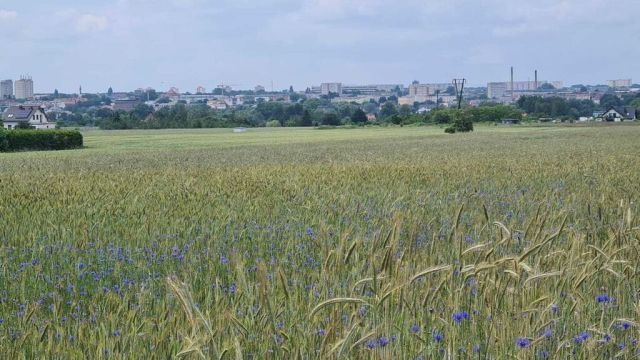 Działka budowlana Stargard. Zdjęcie 1