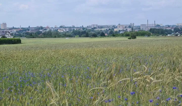 Działka budowlana Stargard