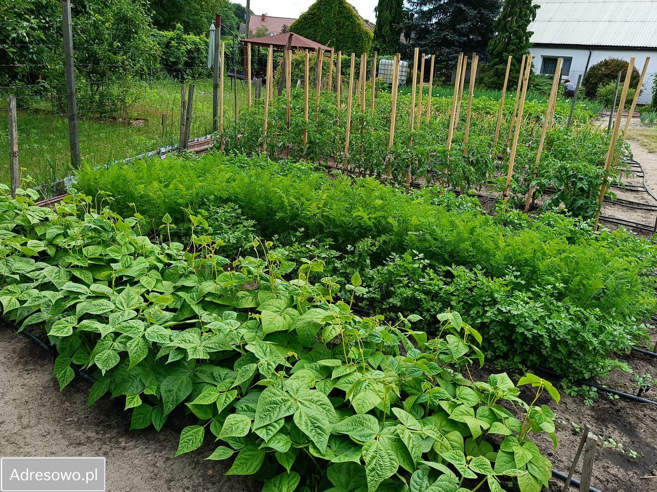 Mieszkanie 3-pokojowe Murzynowo. Zdjęcie 15