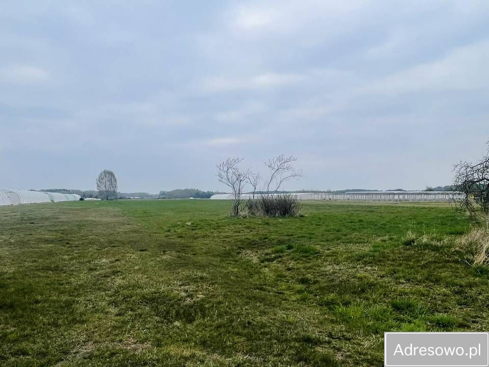 gospodarstwo Podczasza Wola. Zdjęcie 7