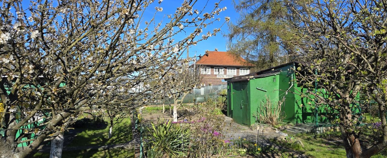 Działka rod Gdynia Orłowo, ul. Spółdzielcza. Zdjęcie 15