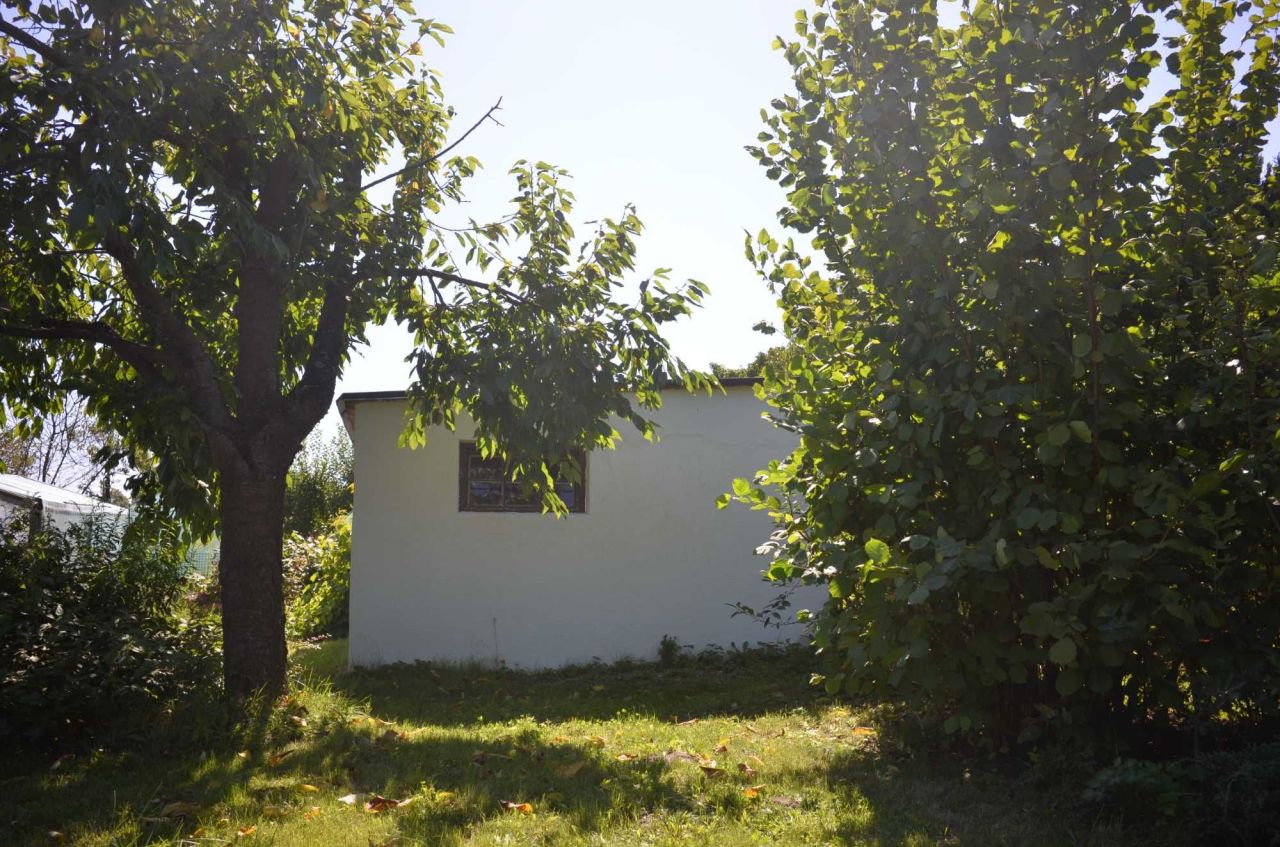 Działka rod Sulechów. Zdjęcie 5