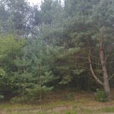 Działka budowlana Nagodów. Zdjęcie 3