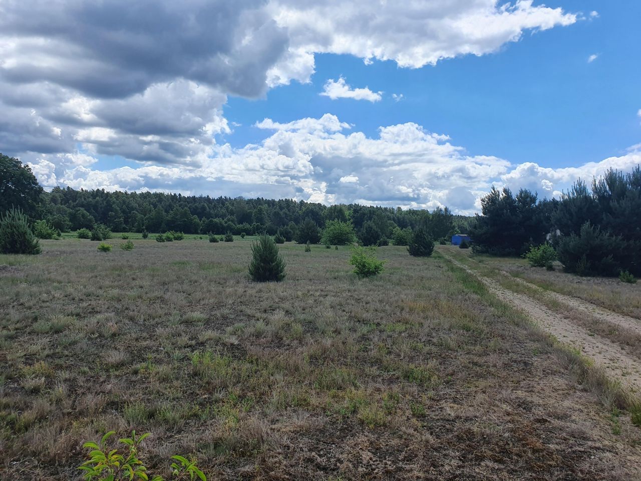 Działka budowlana Kępa Niemojewska. Zdjęcie 11