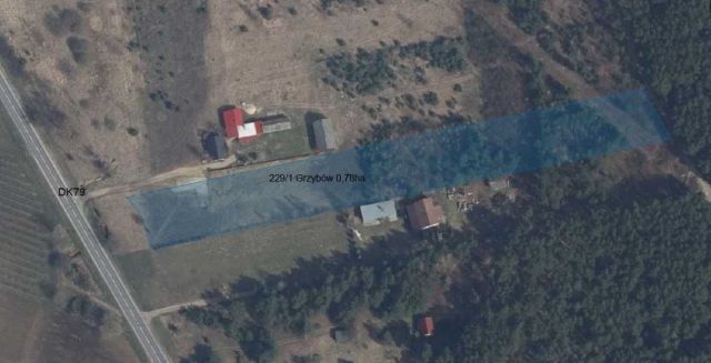 Działka rolno-budowlana Grzybów. Zdjęcie 1