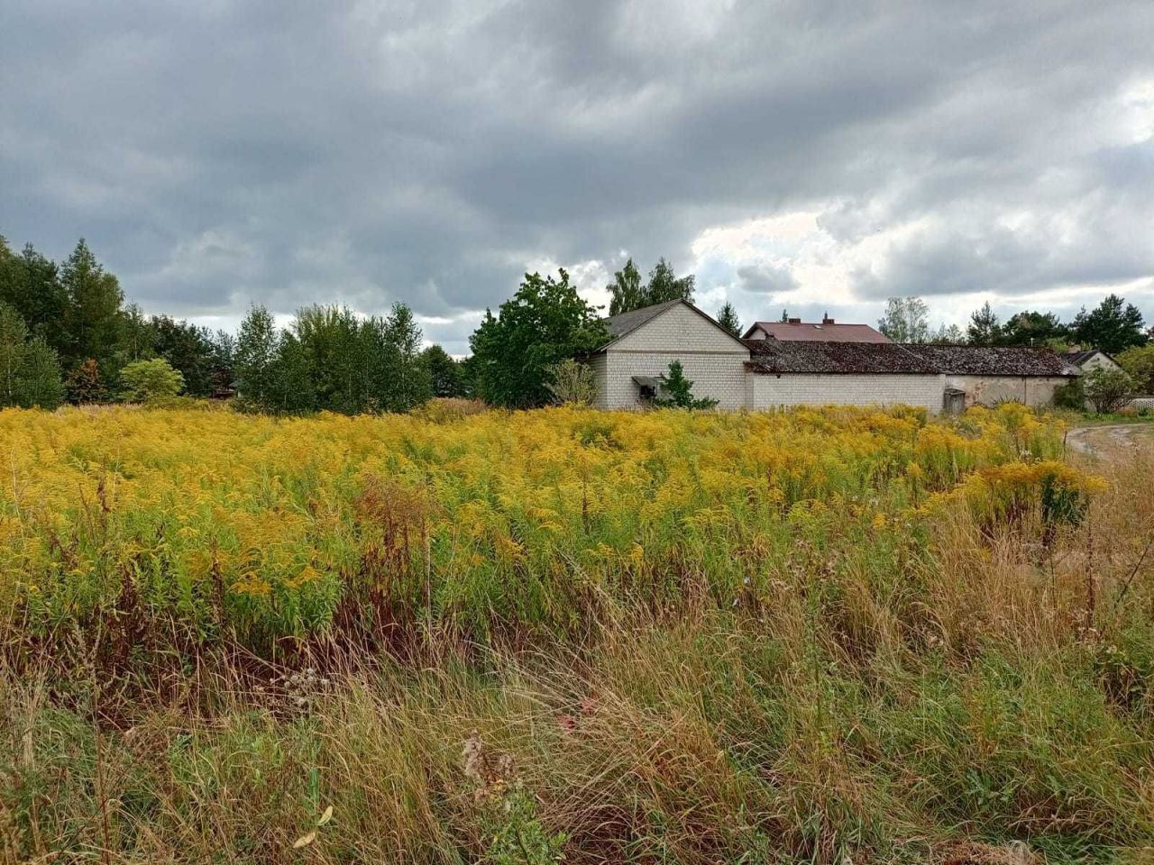 Działka budowlana Wola Mrokowska, ul. Ogrodowa. Zdjęcie 4