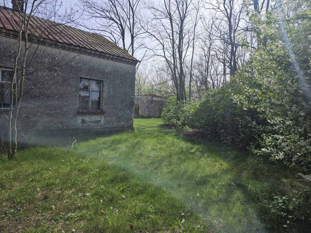 Działka budowlana Piskory. Zdjęcie 3