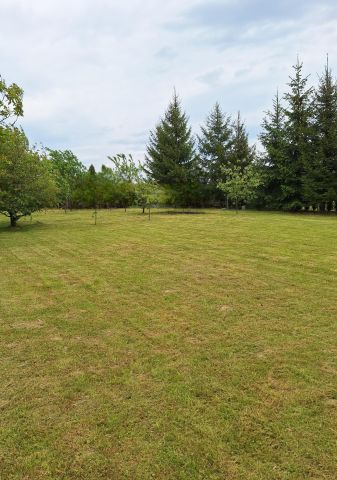 Działka budowlana Kaczyce Otrębów, ul. Ogrodnicza. Zdjęcie 1