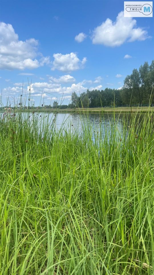 siedlisko, 2 pokoje Wilczkowice. Zdjęcie 14