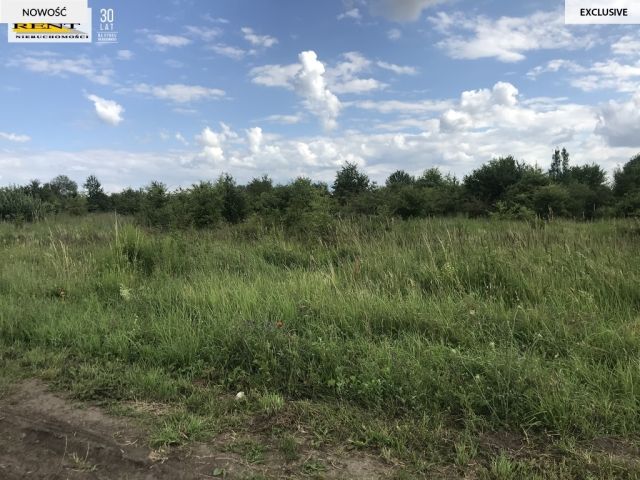 Działka budowlana Mierzyn. Zdjęcie 3