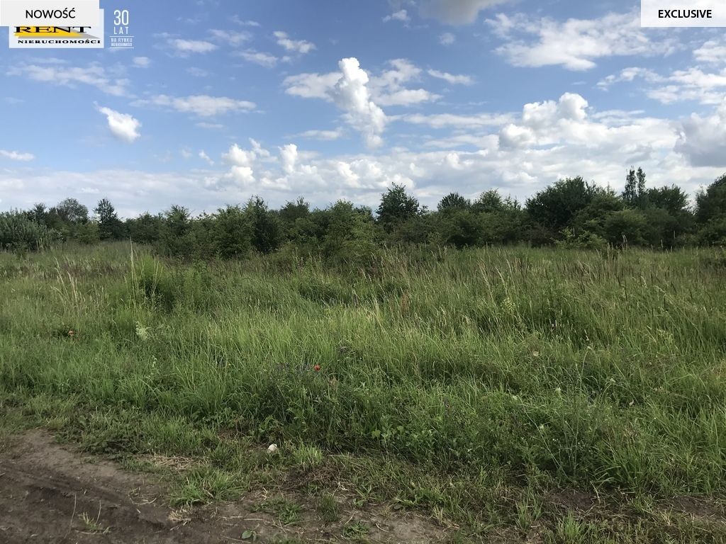 Działka budowlana Mierzyn. Zdjęcie 3